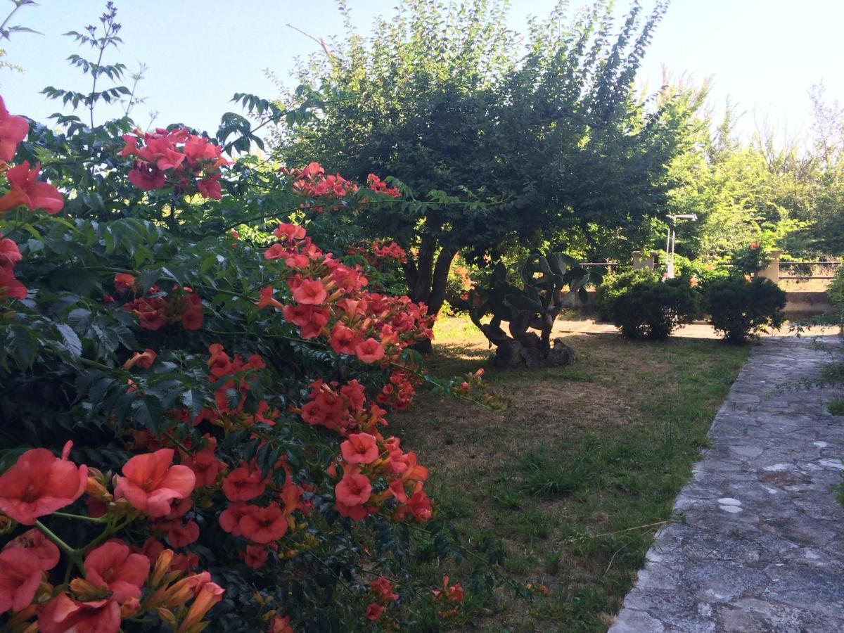 Villa-Toula Roda  Exteriér fotografie